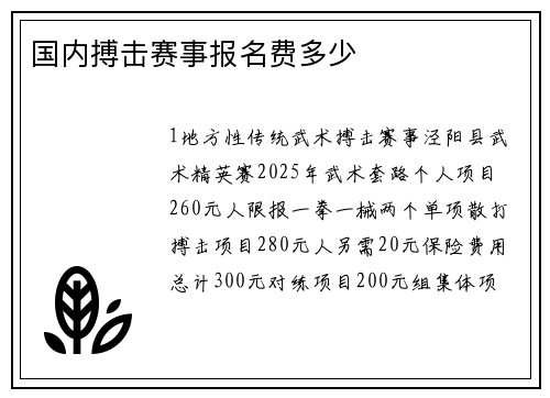 国内搏击赛事报名费多少